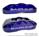 14" Front Pro+ Brake System - Purple Haze